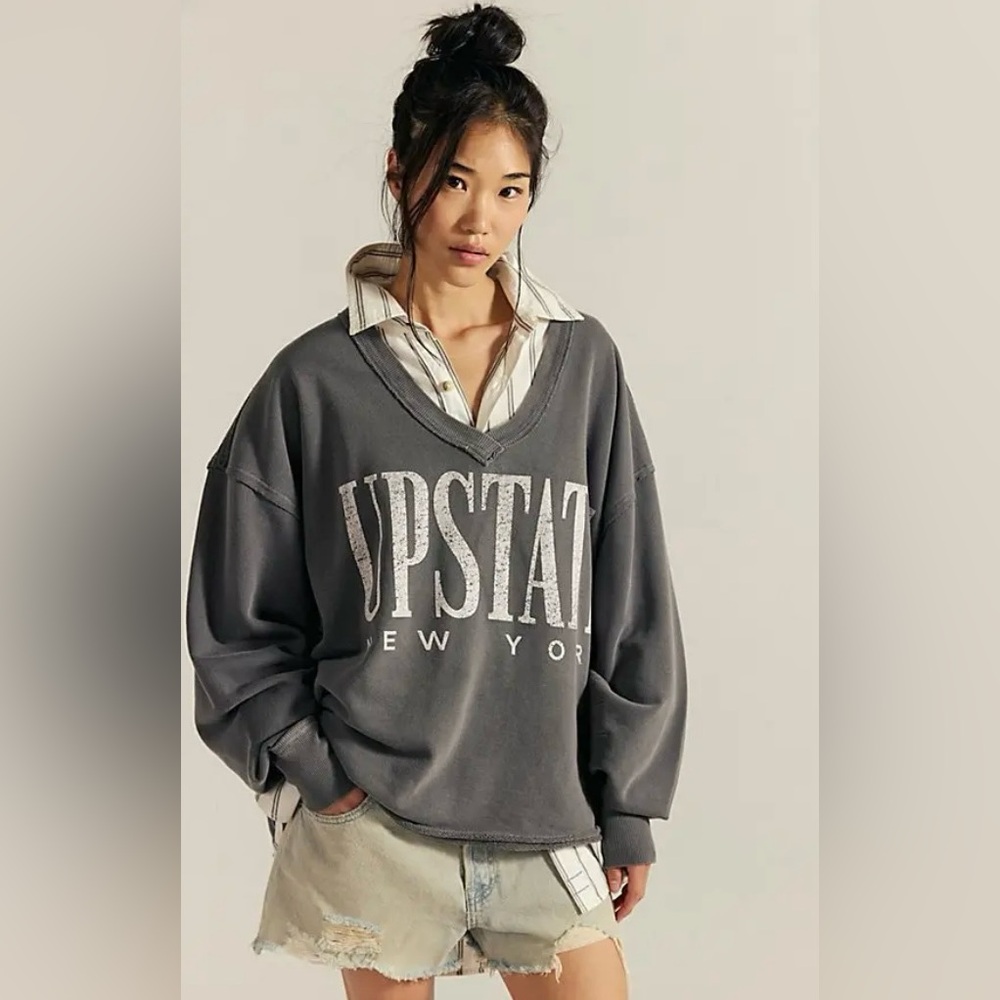 NWOT Free People Upstate New York Venice Graphic V-Neck Sweatshirt